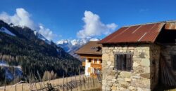 Costa – Selva di Cadore