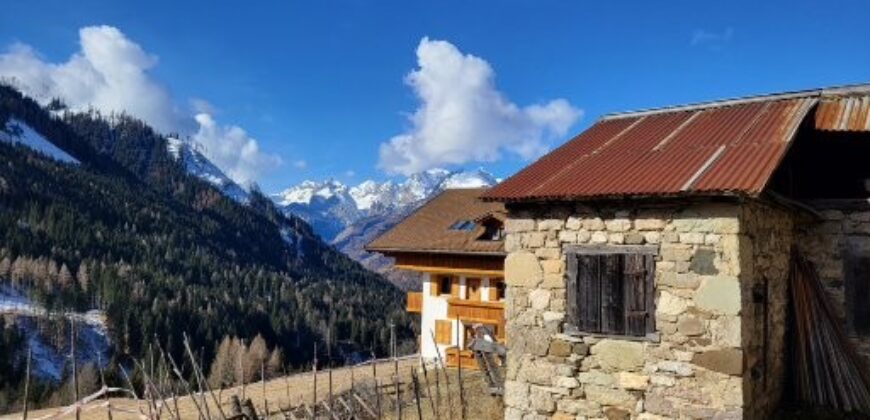 Costa – Selva di Cadore