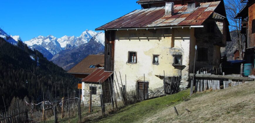 Costa – Selva di Cadore