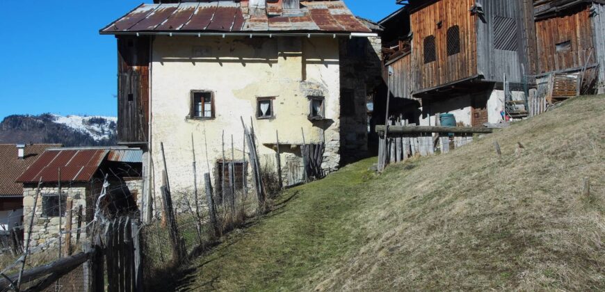 Costa – Selva di Cadore