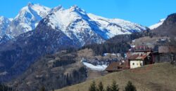 Costa – Selva di Cadore