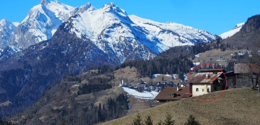 Costa – Selva di Cadore