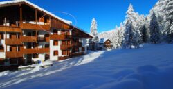 Mansarda al Residence Erica Centro Thule