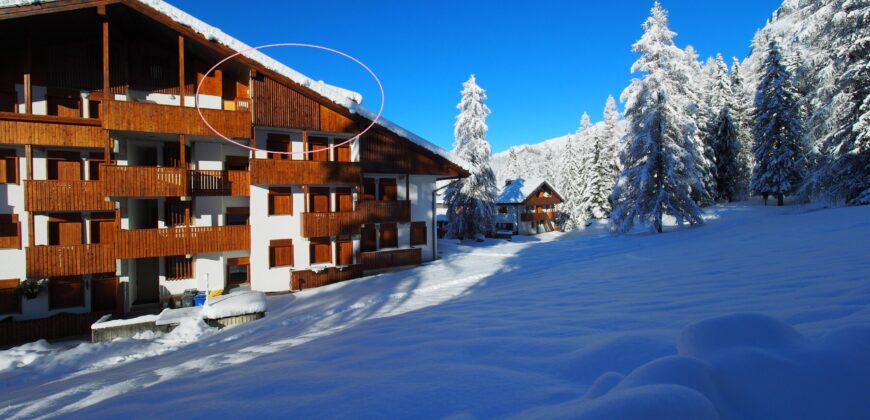 Mansarda al Residence Erica Centro Thule