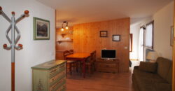 Mansarda al Residence Erica Centro Thule