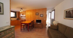 Mansarda al Residence Erica Centro Thule