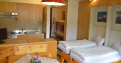 Genziana – Centro Thule monolocale