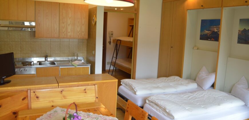 Genziana – Centro Thule monolocale