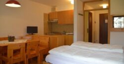 Genziana – Centro Thule monolocale