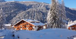 Erica – Centro Thule monolocale