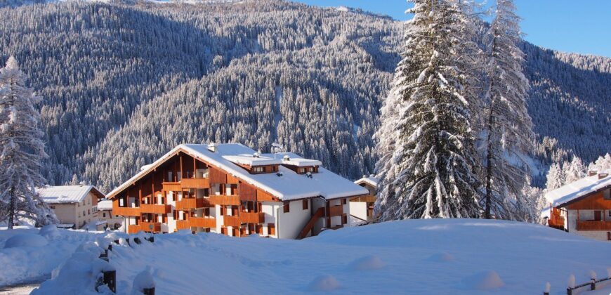 Erica – Centro Thule monolocale