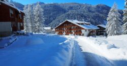 Erica – Centro Thule monolocale