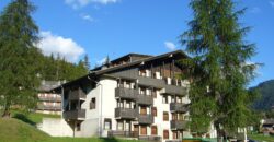 Erica – Centro Thule monolocale