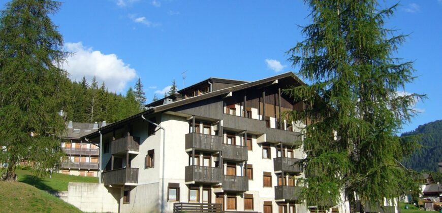 Erica – Centro Thule monolocale