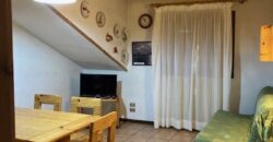 Arnica – Centro Thule mansarda