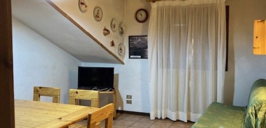 Arnica – Centro Thule mansarda