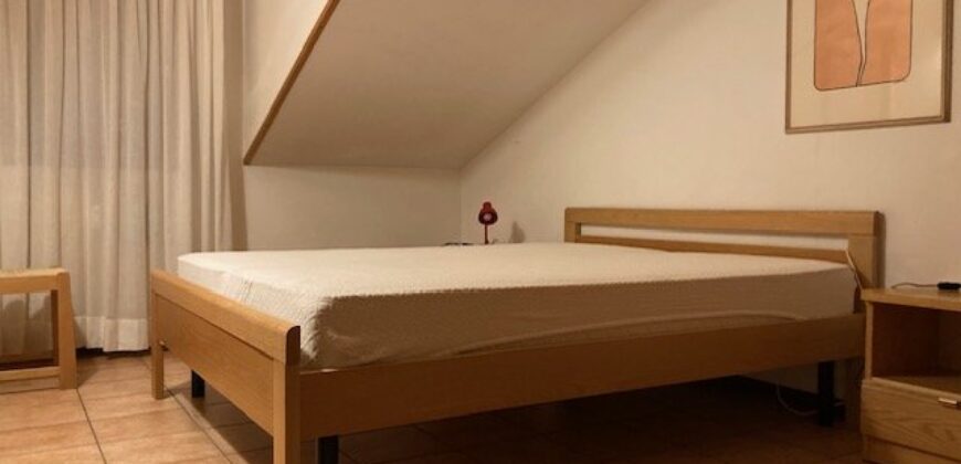 Arnica – Centro Thule mansarda