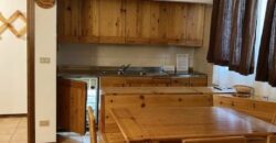 Arnica – Centro Thule mansarda